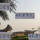 热刺时隔17年拿到第一座冠军奖杯 而申花还要等多少年